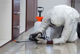 Residential Pest Control Services: Keeping Your Home Safe and Inviting